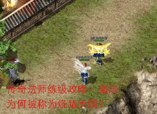 传奇法师练级攻略：猪洞为何被称为烧猪天国？