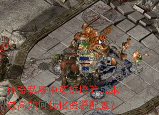传奇私服中英雄培养成本过高如何优化资源配置？