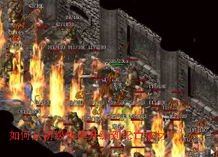 如何从初级快速升级到死亡棺材？