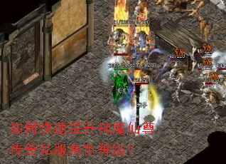 如何快速提升神魔仙尊传奇私服角色等级？