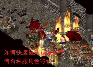 如何快速提升神魔仙尊传奇私服角色等级？