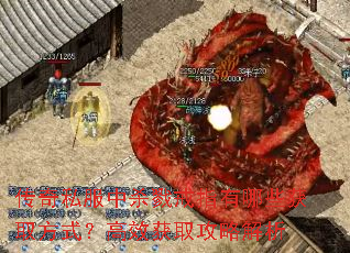 传奇私服中杀戮戒指有哪些获取方式？高效获取攻略解析