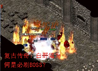 复古传奇：白野猪为何是必刷BOSS？
