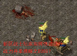 新区战士玩家如何快速提升战力并单挑暗之BOSS？