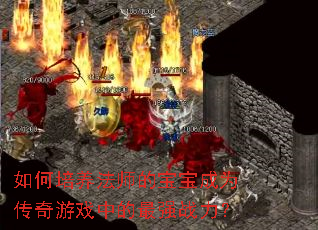如何培养法师的宝宝成为传奇游戏中的最强战力？