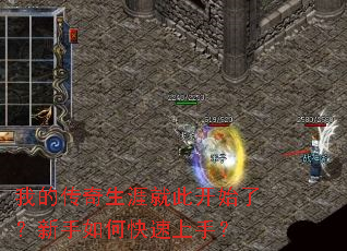 我的传奇生涯就此开始了？新手如何快速上手？