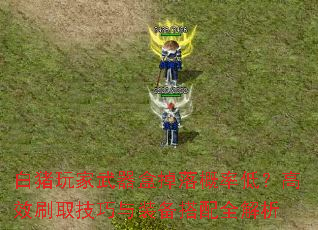 白猪玩家武器盒掉落概率低？高效刷取技巧与装备搭配全解析