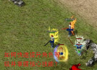 如何快速提升角色等级并掌握核心技能？