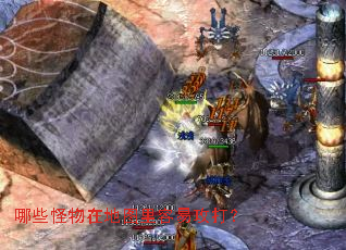 哪些怪物在地图里容易攻打？