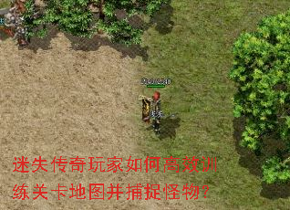 迷失传奇玩家如何高效训练关卡地图并捕捉怪物？