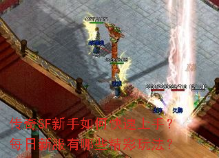 传奇SF新手如何快速上手？每日新服有哪些精彩玩法？