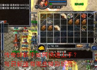 传奇SF新手如何快速上手？每日新服有哪些精彩玩法？