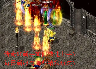 传奇SF新手如何快速上手？每日新服有哪些精彩玩法？