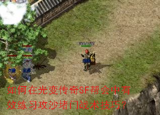 如何在光变传奇SF帮会中有效练习攻沙堵门战术技巧？