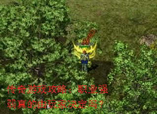 传奇游戏攻略：职业强弱真的由玩家决定吗？