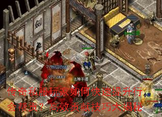 传奇私服玩家如何快速提升行会帮贡？高效贡献技巧大揭秘