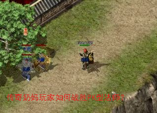 传奇奶妈玩家如何战胜PK型法师？