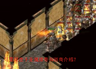 可是现在于圣魔腰带有游商介绍？