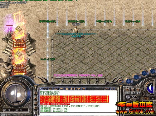 超级变态传奇私服发布网,游戏体验与安全指南