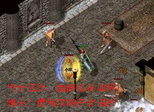 传奇征途：幽暗森林如何通关？最强攻略在此揭晓