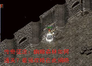 传奇征途：幽暗森林如何通关？最强攻略在此揭晓