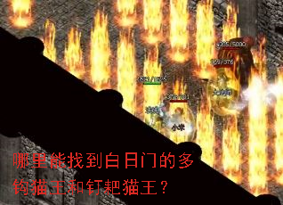 哪里能找到白日门的多钩猫王和钉耙猫王？