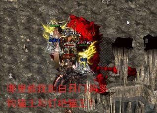 哪里能找到白日门的多钩猫王和钉耙猫王？