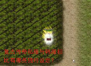 复古传奇私服与韩服相比有哪些独特设定？