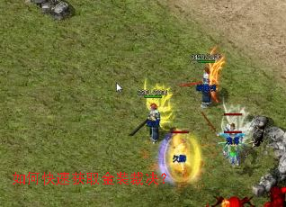 如何快速获取金装裁决？