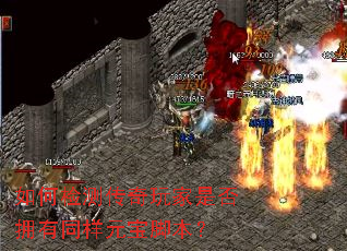 如何检测传奇玩家是否拥有同样元宝脚本？