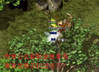 传奇公会新职业账单有哪些优势及玩法技巧？