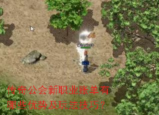 传奇公会新职业账单有哪些优势及玩法技巧？