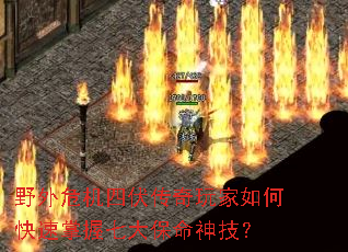 野外危机四伏传奇玩家如何快速掌握七大保命神技？