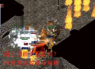 道士还能更无耻吗？传奇游戏攻略全解析