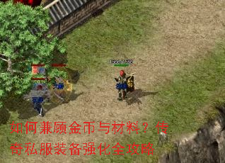 如何兼顾金币与材料？传奇私服装备强化全攻略