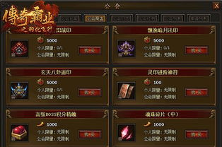 新开传奇sf,最新私服服务器选择与游戏攻略全解析