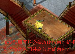 传奇私服开服必备攻略指南？新手如何快速入门并高效养成角色？