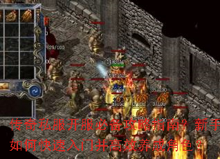 传奇私服开服必备攻略指南？新手如何快速入门并高效养成角色？