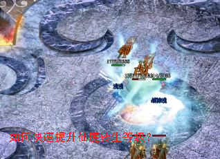 如何快速提升仙魔转生等级？