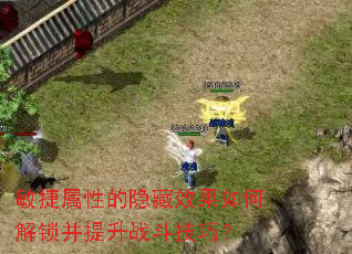 敏捷属性的隐藏效果如何解锁并提升战斗技巧？