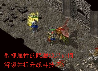 敏捷属性的隐藏效果如何解锁并提升战斗技巧？