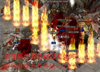 敏捷属性的隐藏效果如何解锁并提升战斗技巧？