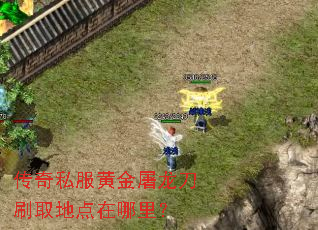 传奇私服黄金屠龙刀刷取地点在哪里？