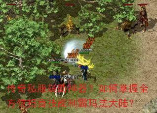 传奇私服辅助神器？如何掌握全方位扫盲技能制霸玛法大陆？