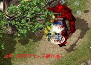 如何快速提升个人捐献排名？