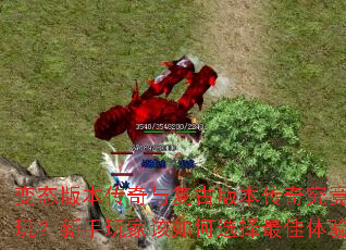 变态版本传奇与复古版本传奇究竟哪个更好玩？新手玩家该如何选择最佳体验版本？