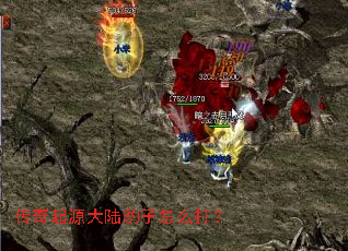 传奇起源大陆豹子怎么打？