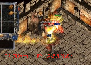 早年玩道士时如何快速提升等级？