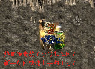 热血传奇豹子小号怎么玩？新手如何快速上手豹子号？
