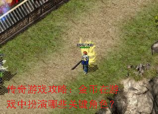 传奇游戏攻略：金币在游戏中扮演哪些关键角色？